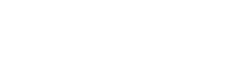 Logotipo de Flumbi en blanco: la palabra «flumbi»